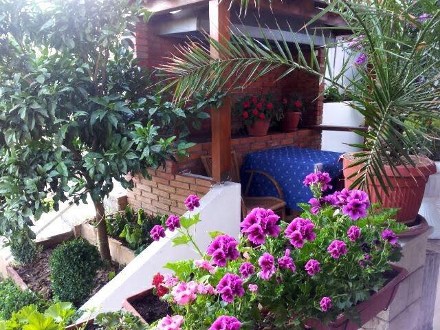 Firenze Apartments Ulcinj Eksteriør bilde